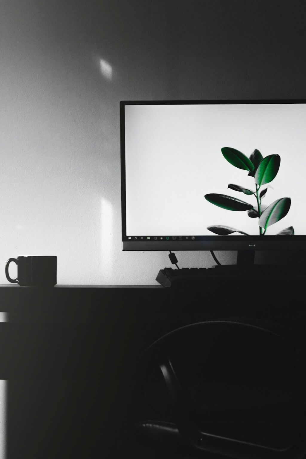 ファーストビュー画像